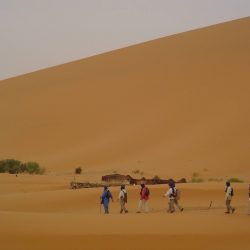 La magnética atracción del desierto