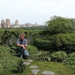 Agricultura urbana, un huerto a la vuelta de la esquina
