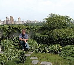 Agricultura urbana, un huerto a la vuelta de la esquina