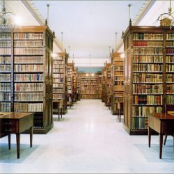 Bibliotecas. La memoria de la vida