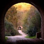 Vías verdes: de vías de tren a caminos cicloturistas