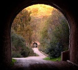 Vías verdes: de vías de tren a caminos cicloturistas