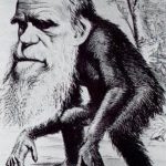 Darwin y su teoría de la evolución