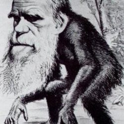 Darwin y su teoría de la evolución