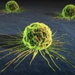 Mecanismos moleculares del cáncer