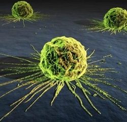 Mecanismos moleculares del cáncer