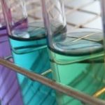 Un nuevo paradigma para la biología