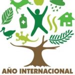 2011 – Año Internacional de los Bosques