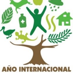 2011 – Año Internacional de los Bosques