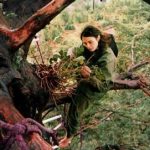 Julia Hill, la joven que vivió en un árbol por defender la naturaleza