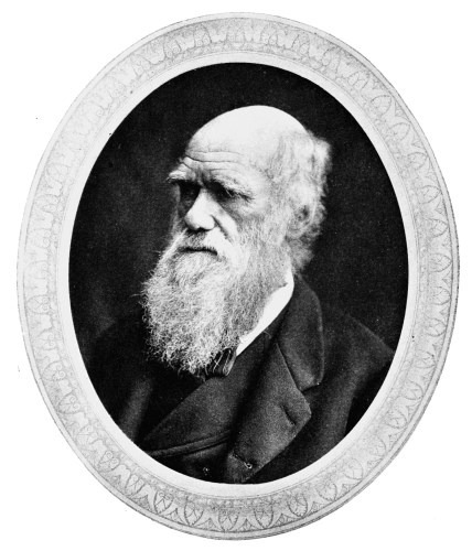 Darwin