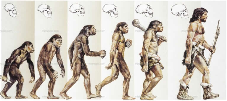 darwin evolucion