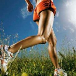 ¡Primavera!... motivación nueva