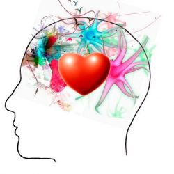 ¿Produce el cerebro las emociones? Reflexiones frente al materialismo científico