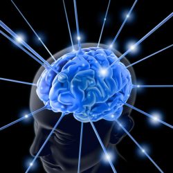 Neurociencia y espiritualidad cada vez más cerca