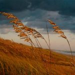 Viento frío