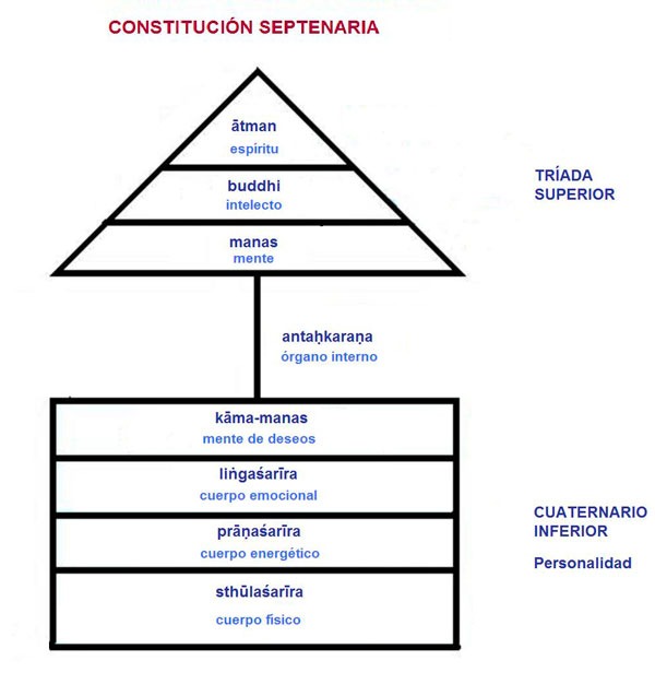 constitucion septenaria esquema