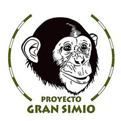 El proyecto Gran Simio