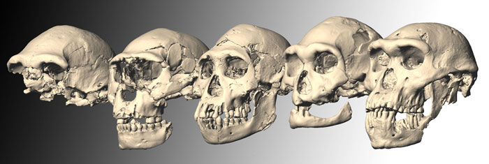 aportaciones paleontologia 1