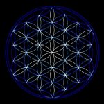 Biocentrismo: conciencia para comprender el universo