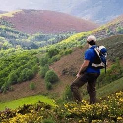 camino de santiago