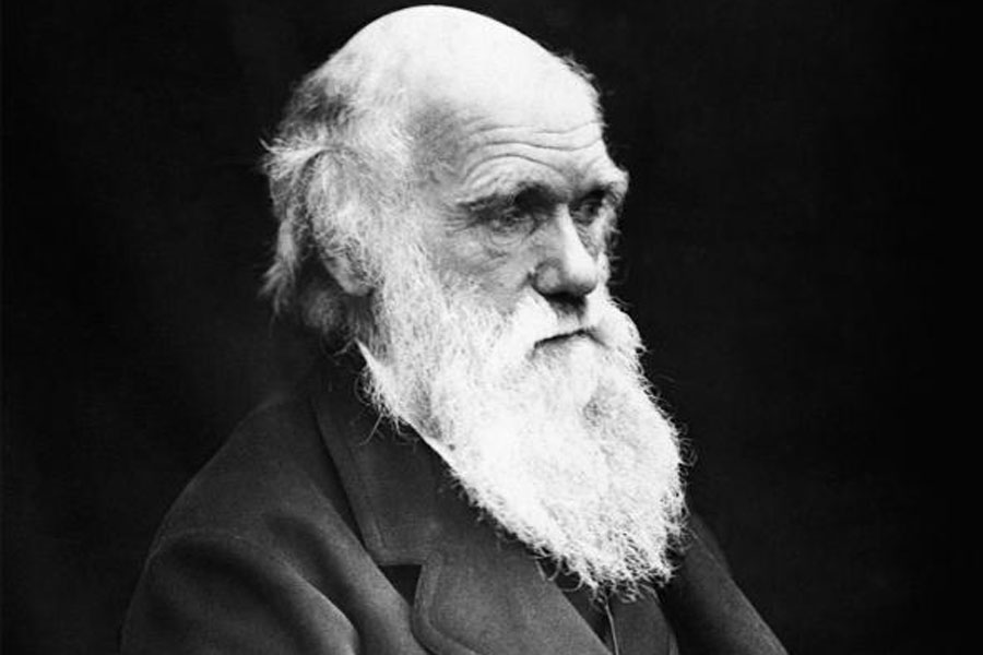 Darwinismo, el naufragio de una ideología 2