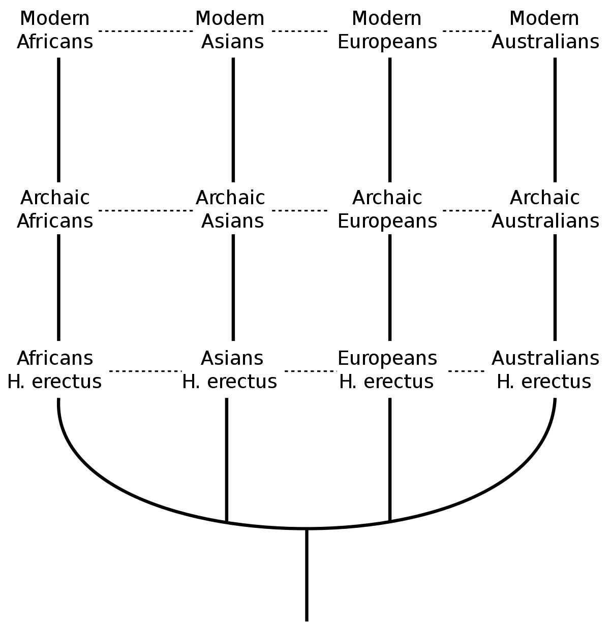 evolucion lineal darwinismo