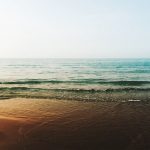 El color como lenguaje de la naturaleza