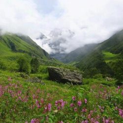 Camino de Santiago