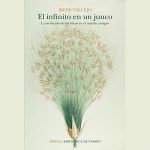 El infinito en un junco: La invención de los libros en el mundo antiguo
