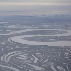 Alaska: la selva blanca