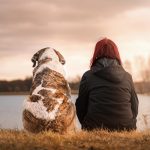 Misterios de los animales