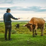 Animales y humanos, una permanente interacción