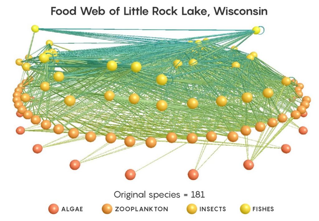 Figura 3. Modelo 3D de las interacciones tróficas en el lago Little Rock, Wisconsin (Estados Unidos), mostrando 181 nodos y 2375 conexiones (Yoon et al., 2005).