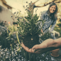 Economía ecológica