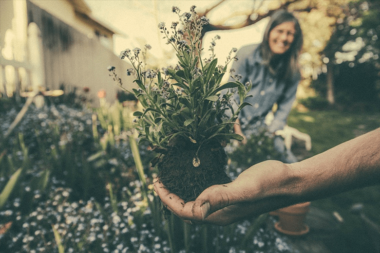 Economía ecológica