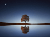 Yggdrasil, el árbol como imagen del universo