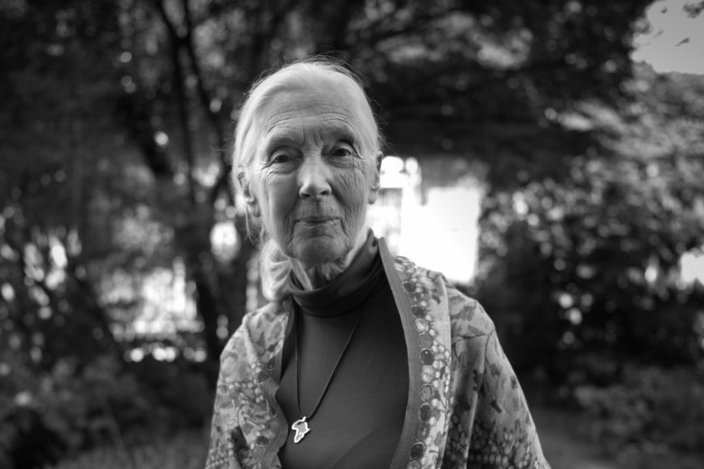 Jane Goodall