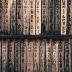 Las semillas y la flecha: una historia sobre el lenguaje