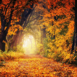 Diálogo improbable entre fe y razón