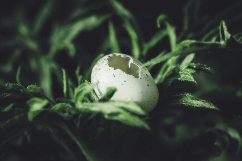 Reflexión sobre el crecimiento y el dolor