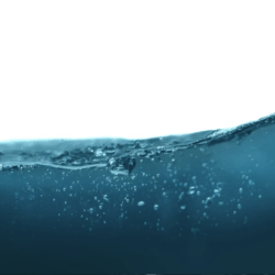 El agua, un bien imprescindible