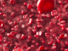 Hemoglobina en el mundo vegetal  (misterios de Marte y una opción alimenticia para vampiros veganos)