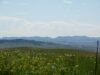 Crow’s Nest (Nido del Cuervo): Lugar desde donde los exploradores localizaron la manada de ponis. Se encuentra a más de 20 km de distancia de los meandros del Little BighHorn que rodeaban el enorme campamento nativo. Al descubrir también un rastro claro de caballos sin herrar que se dirigía hacia los tipis, Custer pensó que su posición había sido descubierta, por lo que adelantó el momento del ataque. La foto está tomada desde el posible lugar, elevado, donde Reno y Benteen organizaron un puesto de última defensa (Foto de autor, FA)